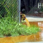 Fox Hill residents drinking rusty water